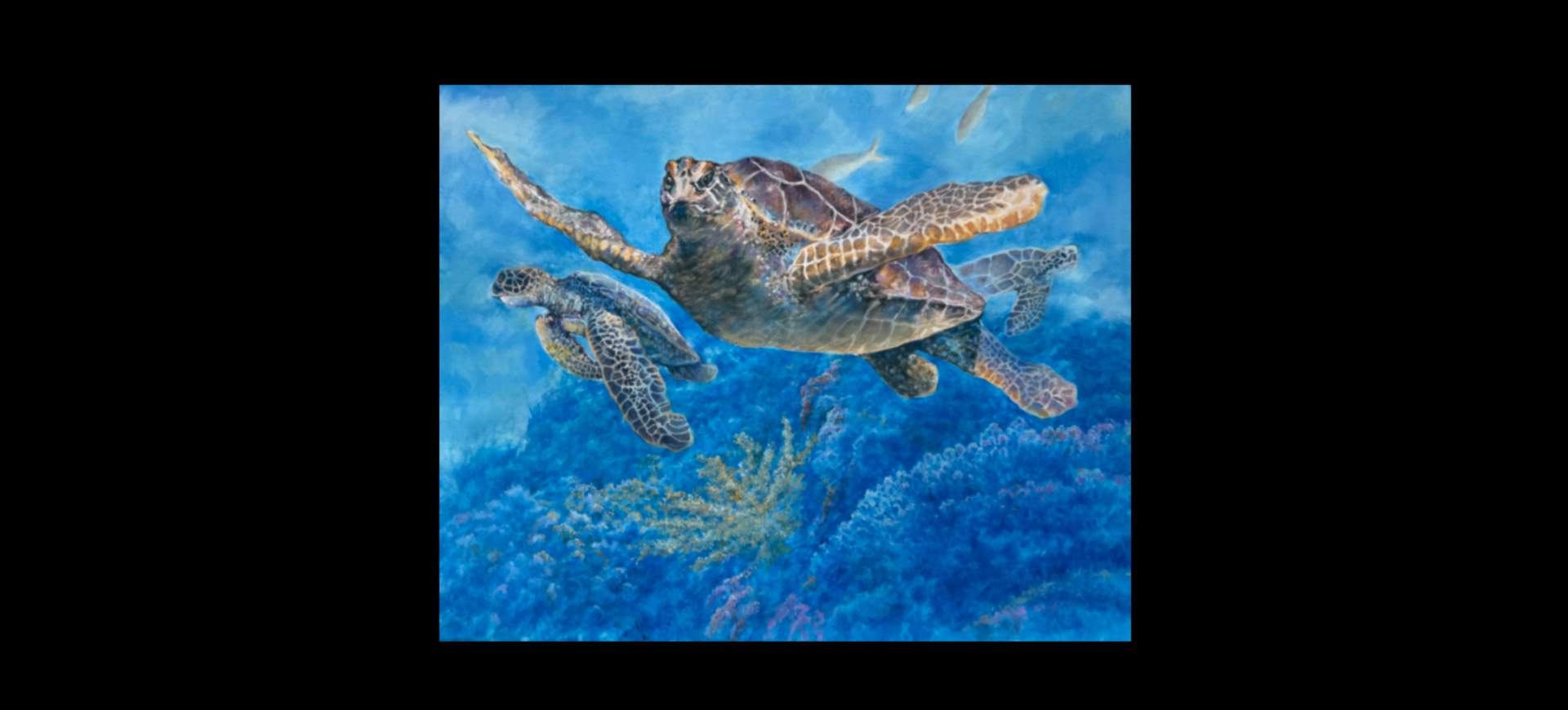 Tommy Turtle and Friends